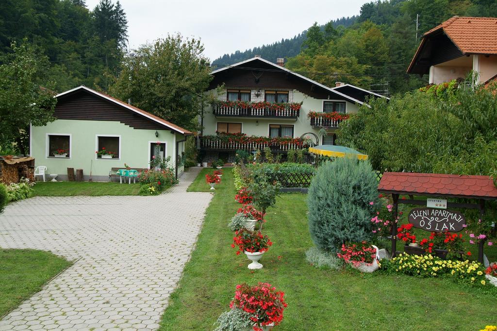 Zeleni Apartma Zreče Exteriér fotografie