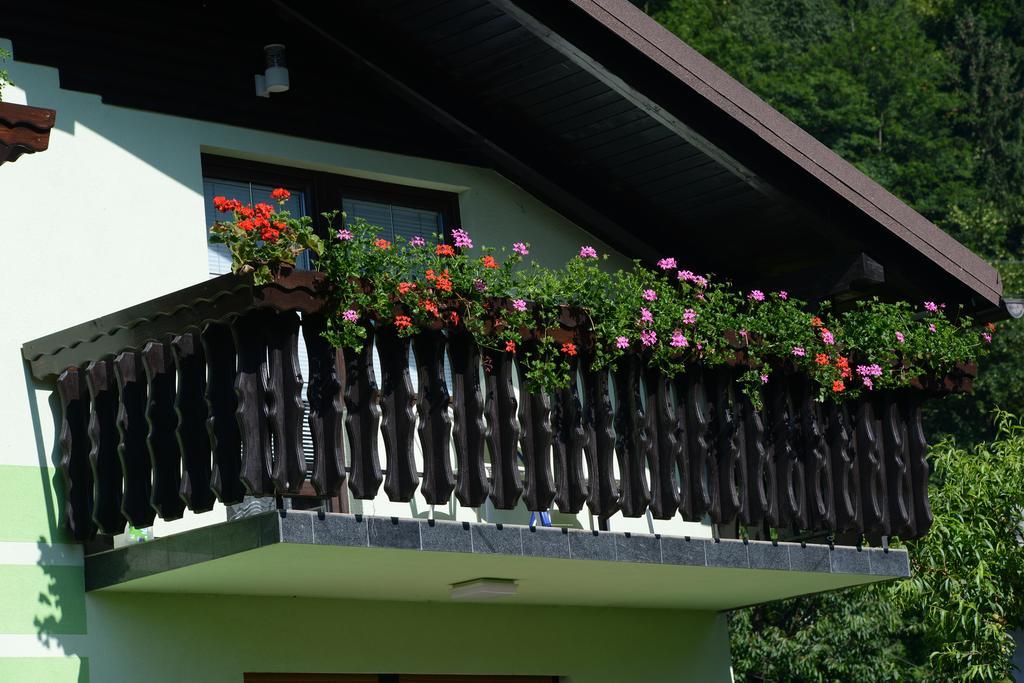 Zeleni Apartma Zreče Exteriér fotografie